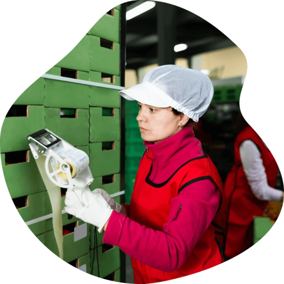 verpackung-für-logistik.png
