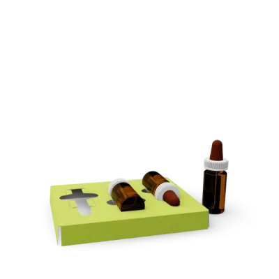 Inlay / Kartoneinlage