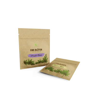 Flat pouches made of paper