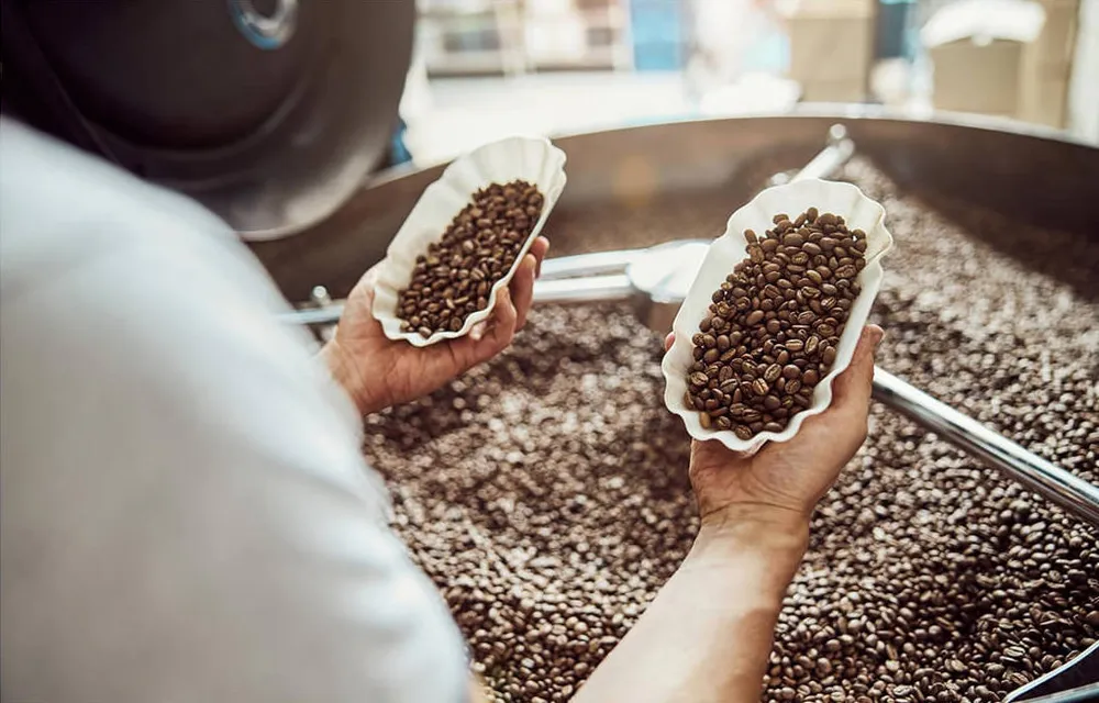 Controllo qualità del caffè