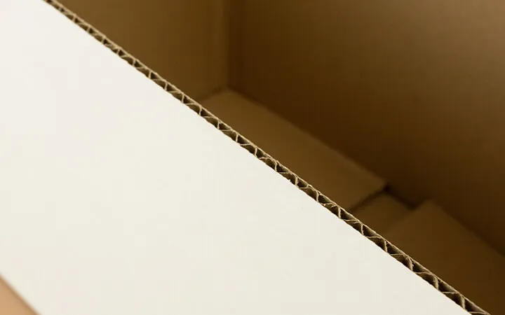 Primo piano di un'onda E Primo piano di un'onda E