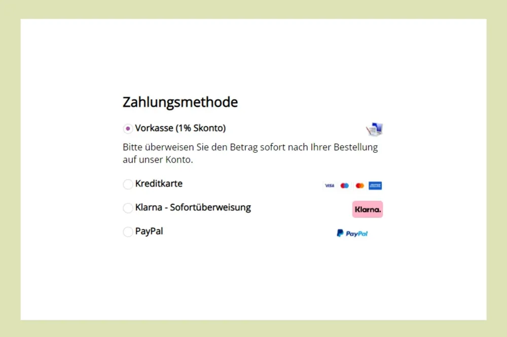 Screenshot of a checkout page showing payment methods prepayment, credit card, Klarna and PayPal