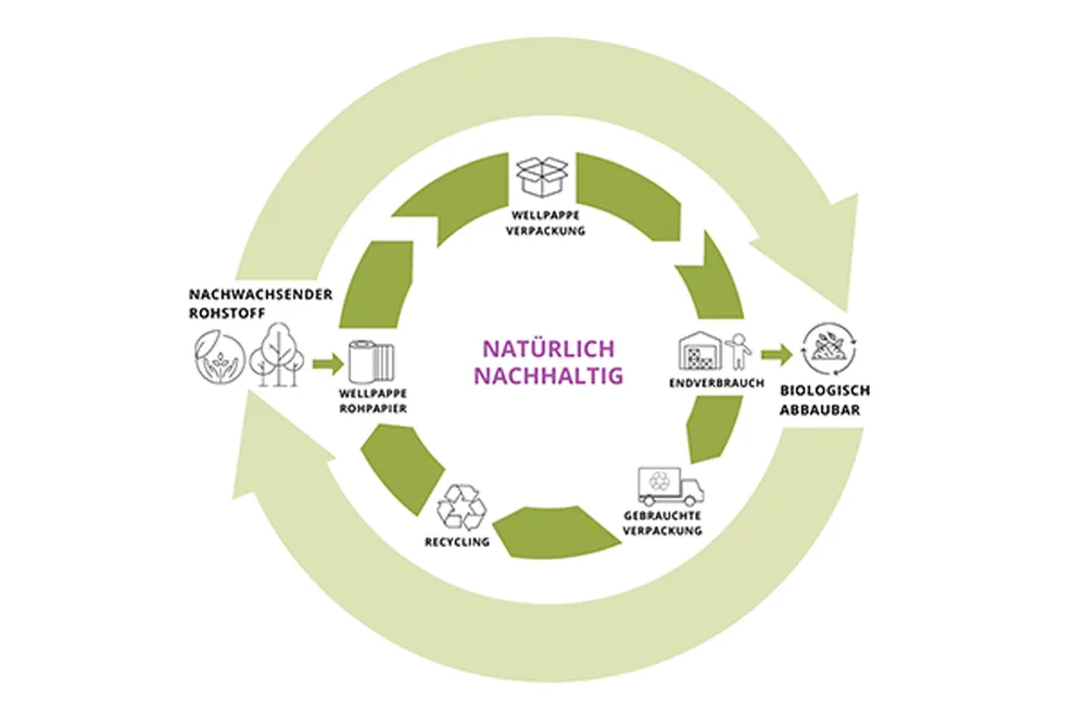 Recycling-Weg der Wellpappe