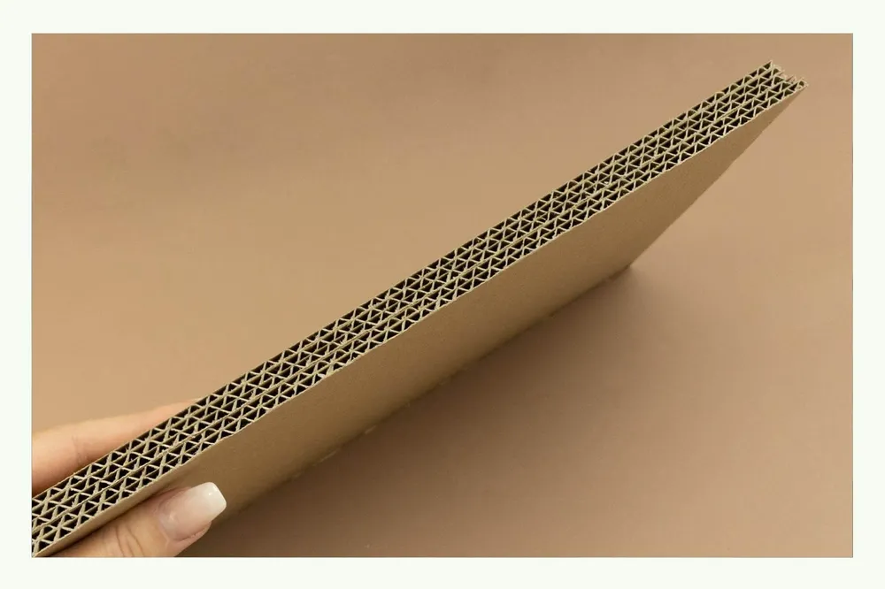 Hand holding a corrugated cardboard sheet in cross-section Hand holding a corrugated cardboard sheet in cross-section
