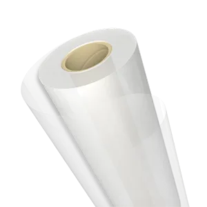 PP Monofolie transparent Rollenware