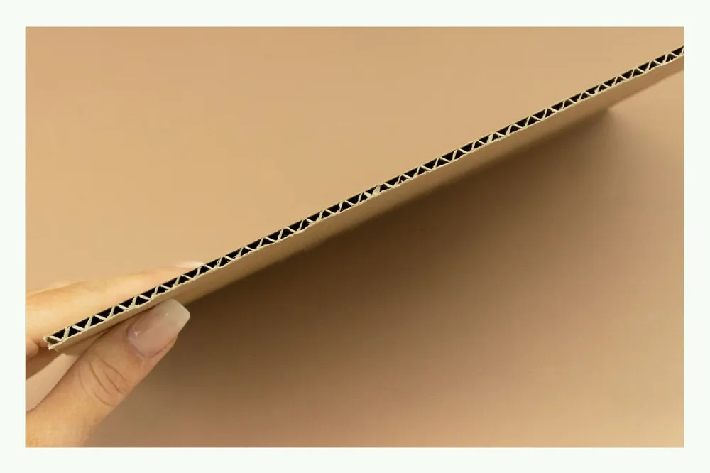 Mano che tiene un foglio di cartone ondulato in sezione trasversale Mano che tiene un foglio di cartone ondulato in sezione trasversale