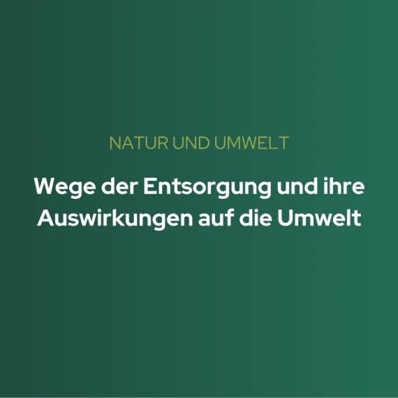 Themenbezogene Artikel