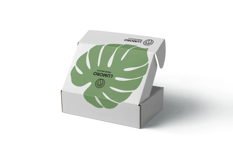 Versandkarton Flexodruck