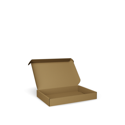 Groß- und Maxibriefkartons unbedruckt