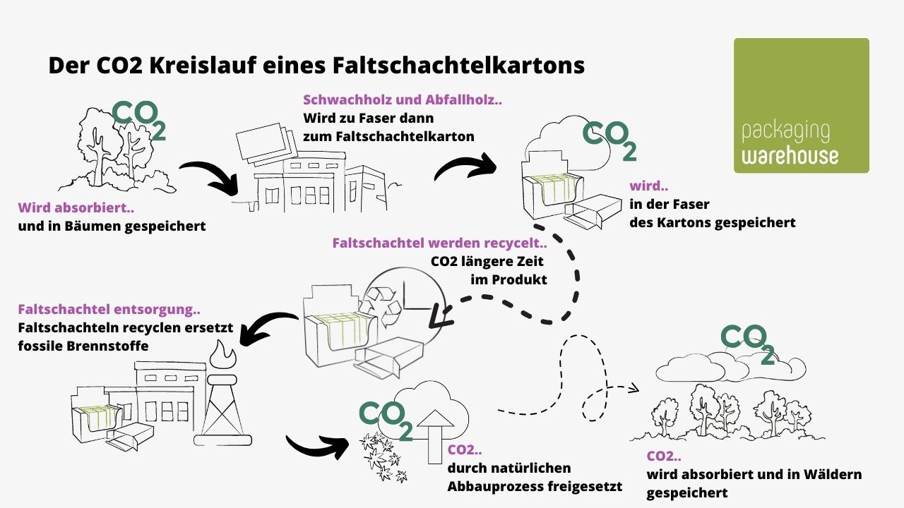 Infografik: CO2 Kreislauf einer Faltschachtel