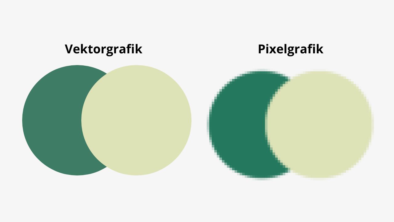 Vektorgrafik vs. Pixelgrafik